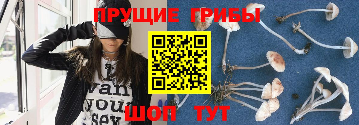 Галлюциногенные грибы Magic Shrooms Усинск