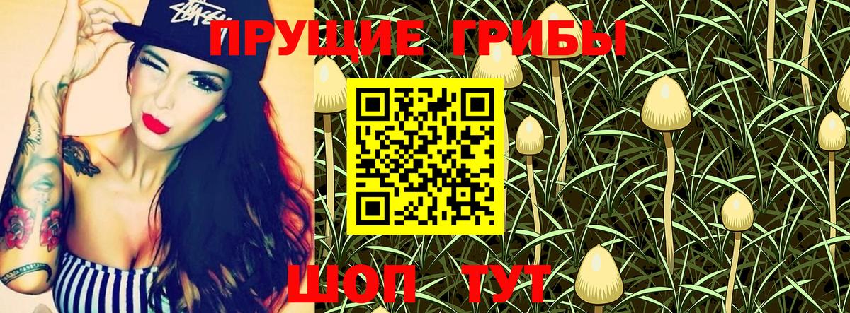 Псилоцибиновые грибы MAGIC MUSHROOMS  где купить наркоту  Усинск 